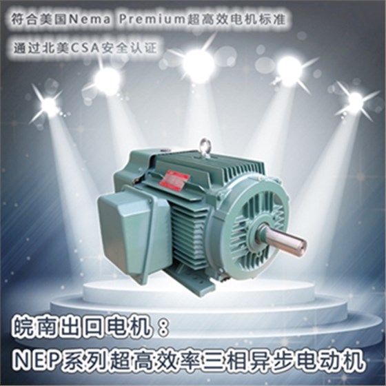 皖南电机-NEP系列超高效电机