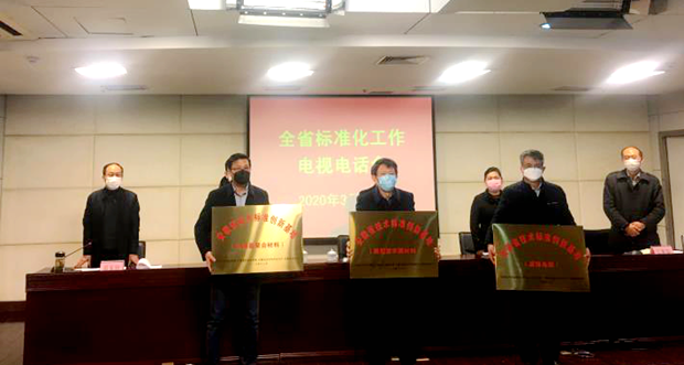 皖南电机获“安徽省技术标准创新基地（高效电机）”标牌