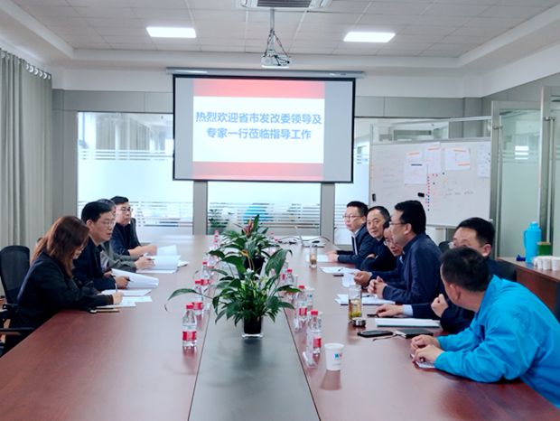 安徽省重大新兴产业工程专项评估组来皖南电机进行中期评估