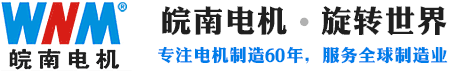 安徽皖南电机股份有限公司